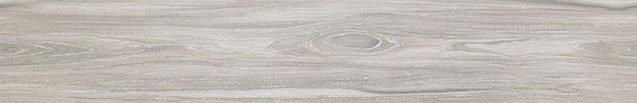Olmo Shiva (Textura)