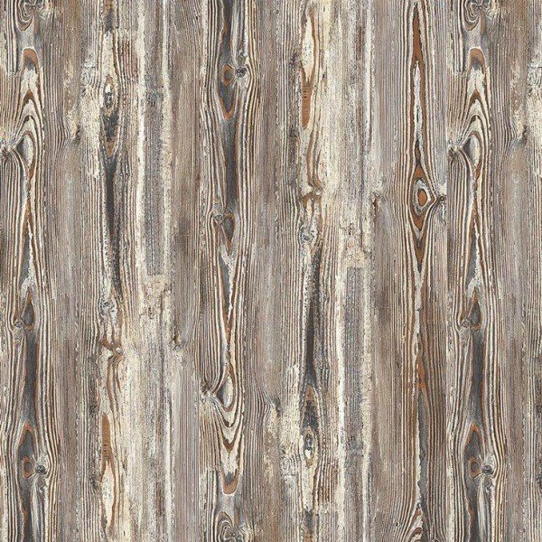 Taiga Pine (Textura)