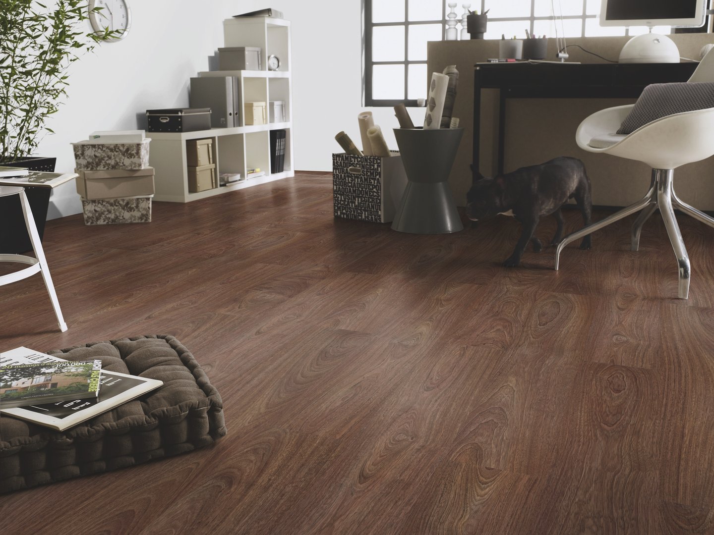Jatoba (Demostración)